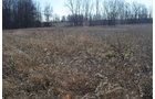 Property photo 5 - East Allen County - 55 Acre Land Auction